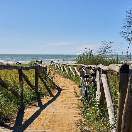 Your Summer Retreat In Lido Dei Pini